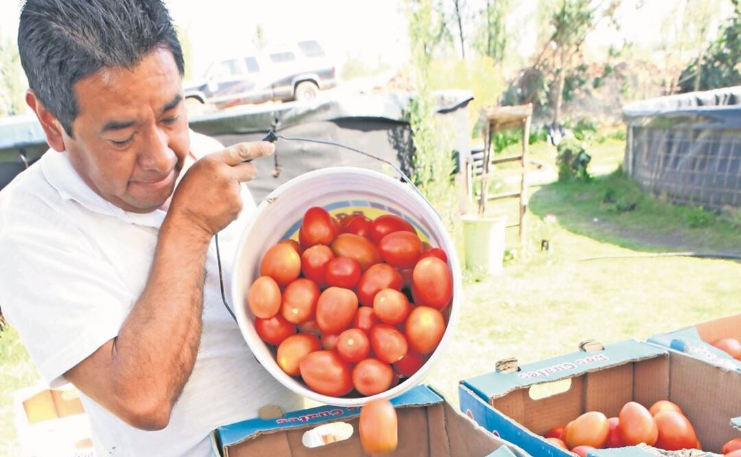 Reclamo. La CNA denunció que el gobierno no atienden trámites básicos, como los conflictos por el jitomate, entre otros. Foto: ARCHIVO EL UNIVERSAL