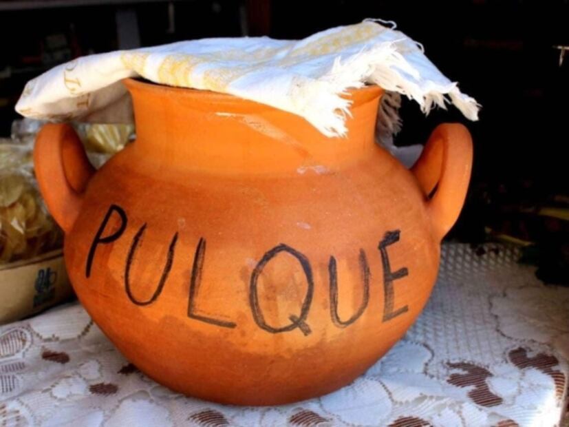 ¿Cuándo y dónde será el Festival del Pulque, la Salsa y el Nopal?