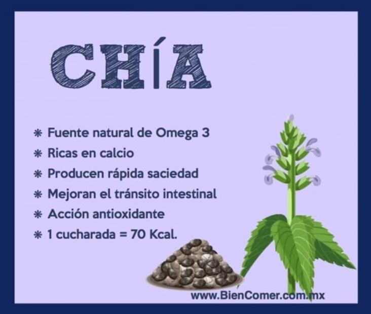 ¿Qué le pasa al cuerpo si desayunas chía diario?