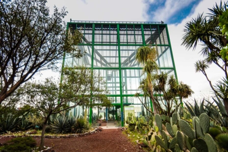 Lugares gratis para visitar en la CDMX en enero 2023