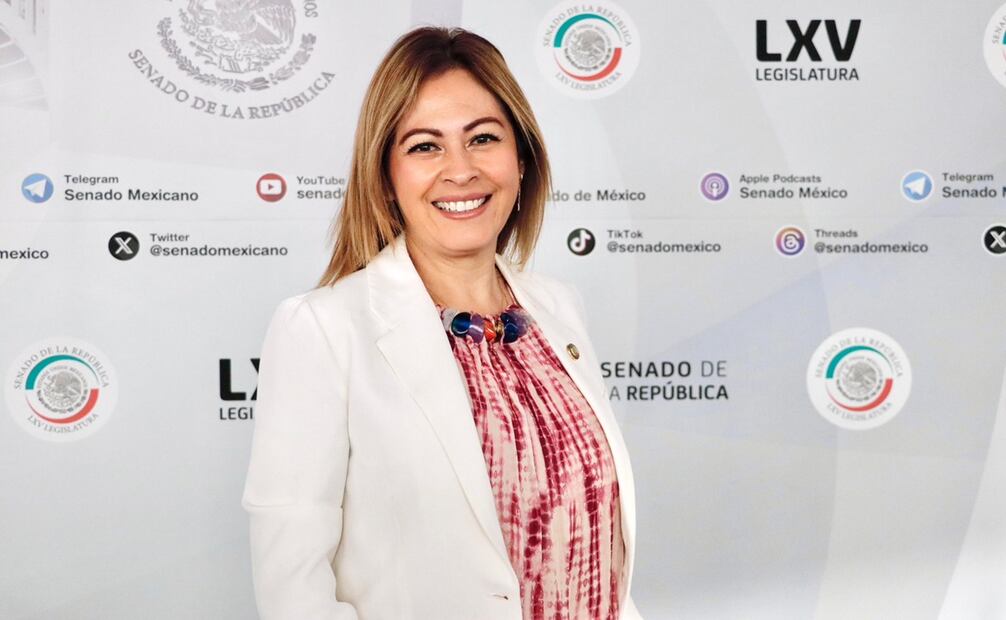 Se acusó a Ricardo Peralta como el principal responsable del recrudecimiento de la violencia y la guerra sucia contra la candidata Lucía Meza Guzmán. Foto: X @LucyMezaGzm