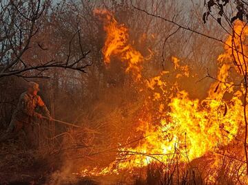 Ejército sofoca 3 incendios forestales en Veracruz; no se reportan lesionados