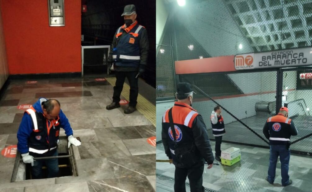 La búsqueda del cacomixtle se realiza para salvaguardarlo de una posible descarga eléctrica en la barra guía. Foto: Especial