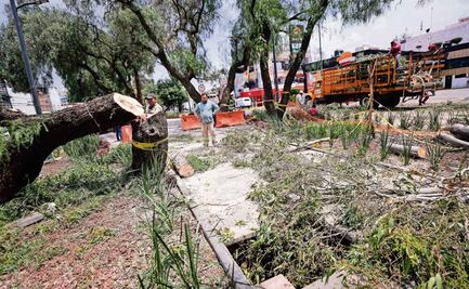 Avanza lenta la reparación del socavón en la GAM