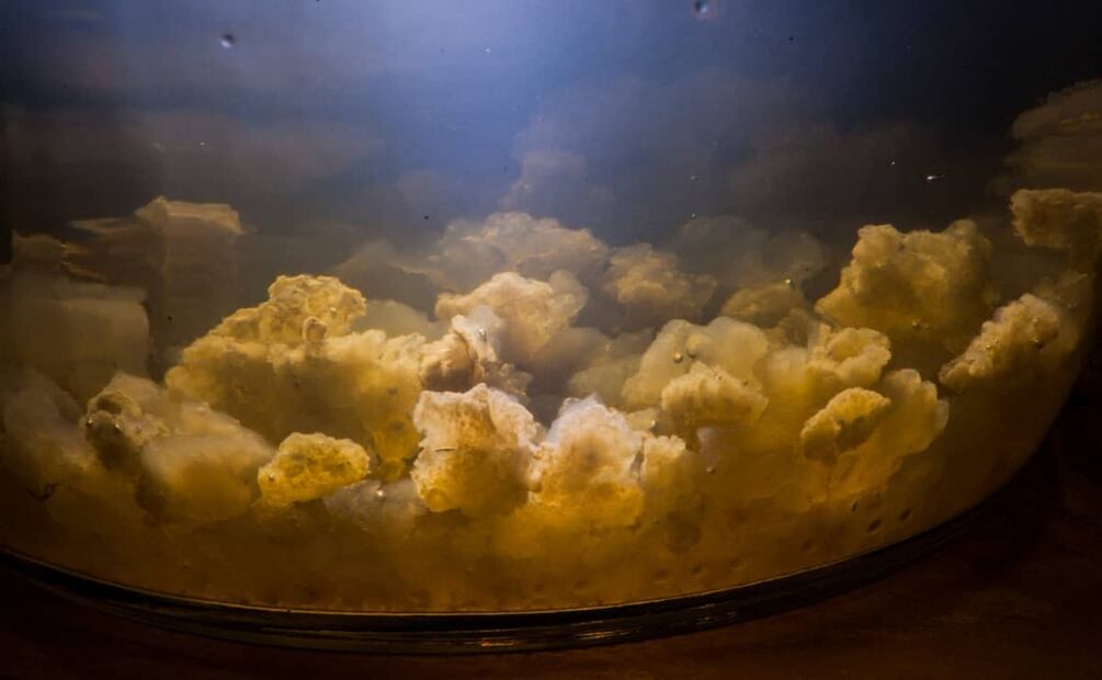 Foto: Wikimedia Commons