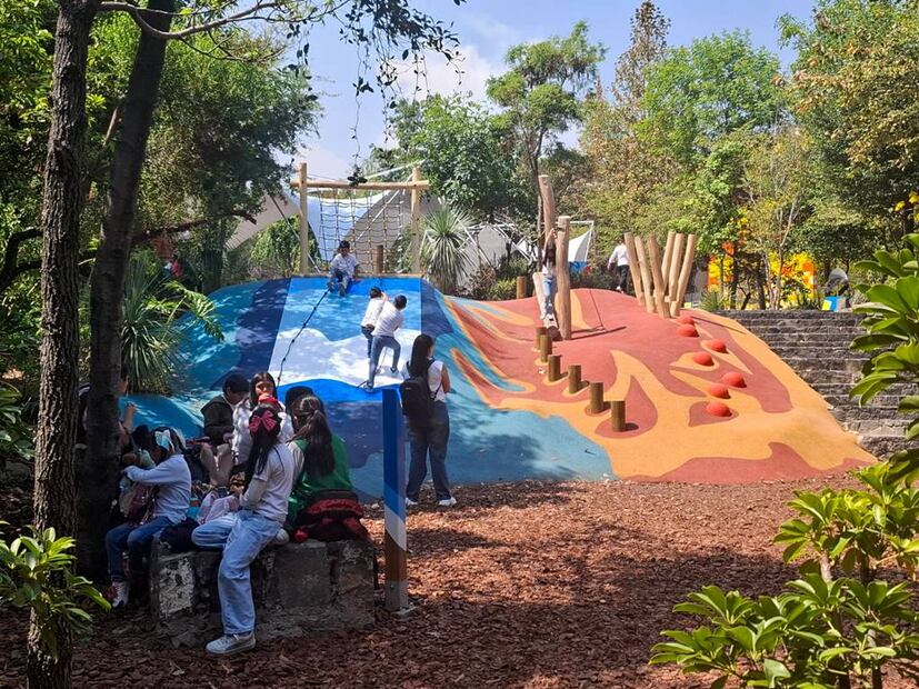 Foto: Bosque de Chapultepec