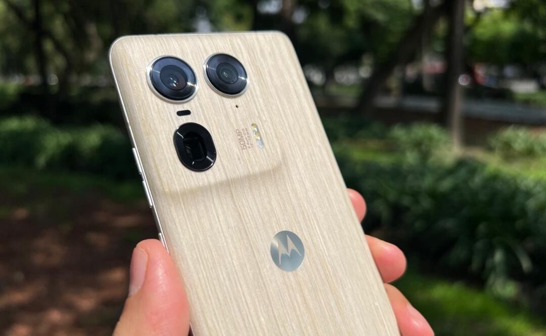 Imagen: Luis Miguel Paredes