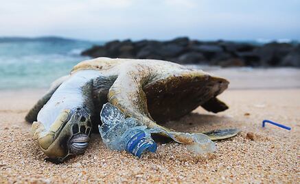 The world is drowning in plastic