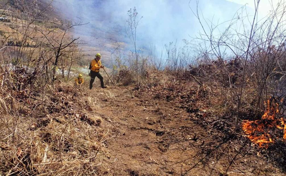 Por incendios se reportan más de 139.16 hectáreas afectadas. Foto: Especial