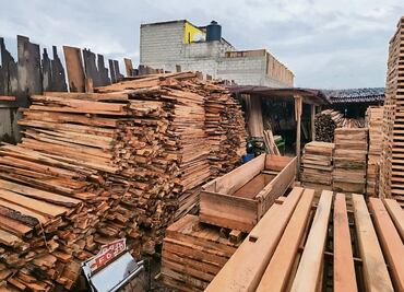 Tala imparable en la zona de volcanes