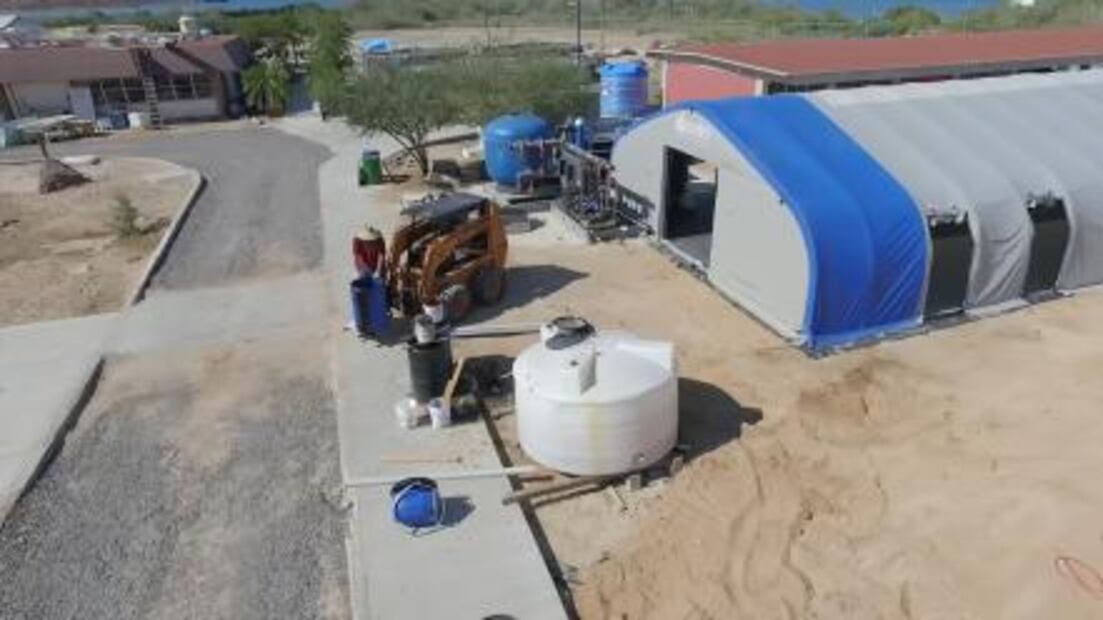 Operará en BCS primer centro de rescate de especies marinas en México