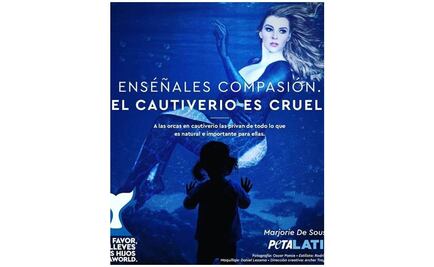 Marjorie de Sousa pide no llevar a los niños a los parques marinos 