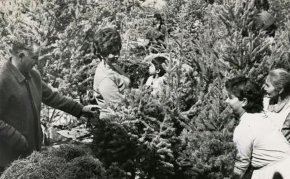 Navidad en la Alameda Central