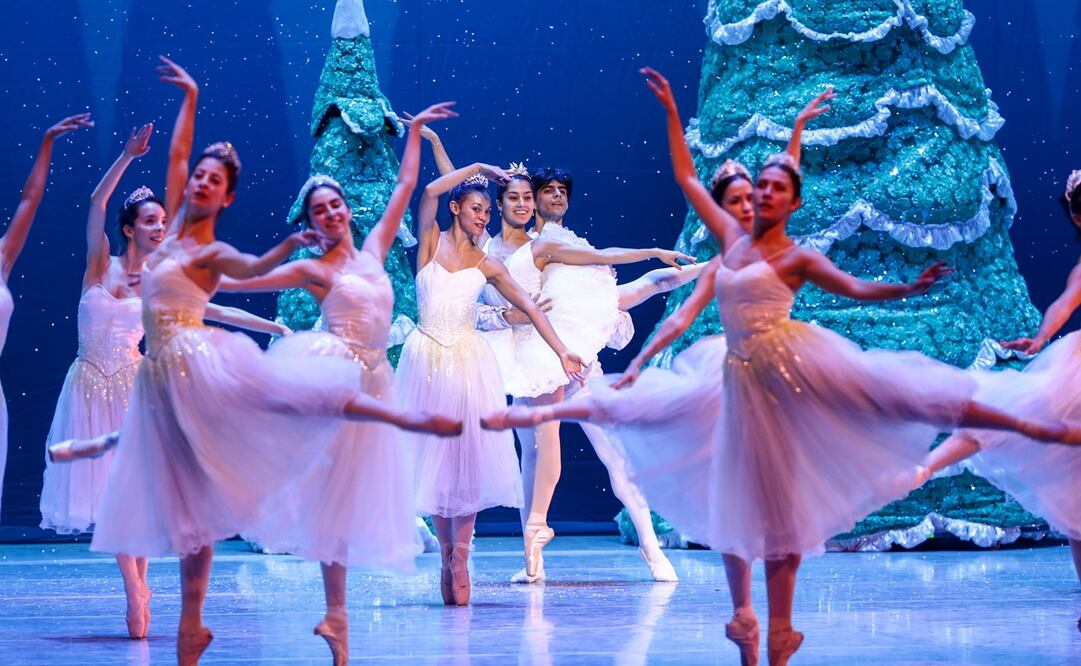 Foto: Diego Simón Sánchez / EL UNIVERSAL