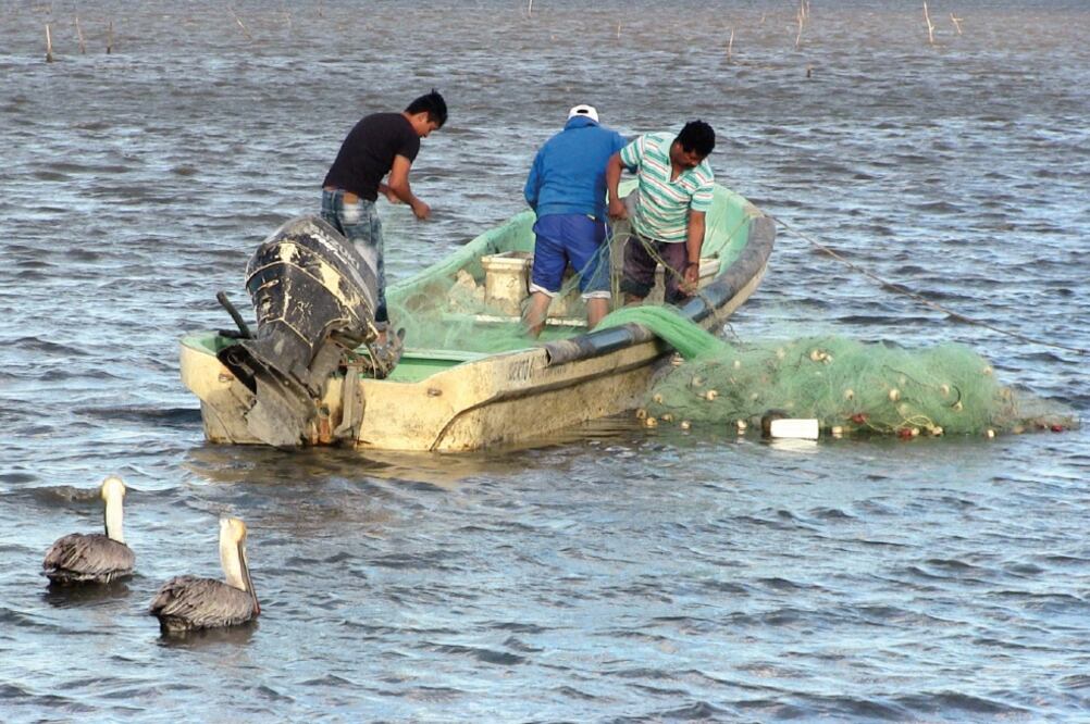 Los pescadores navegan en lanchas fabricadas con fibra de vidrio, que son frágiles frente a los fuertes vientos y el oleaje alto (FOTOS: MARÍA DE JESÚS PETERS. EL UNIVERSAL)