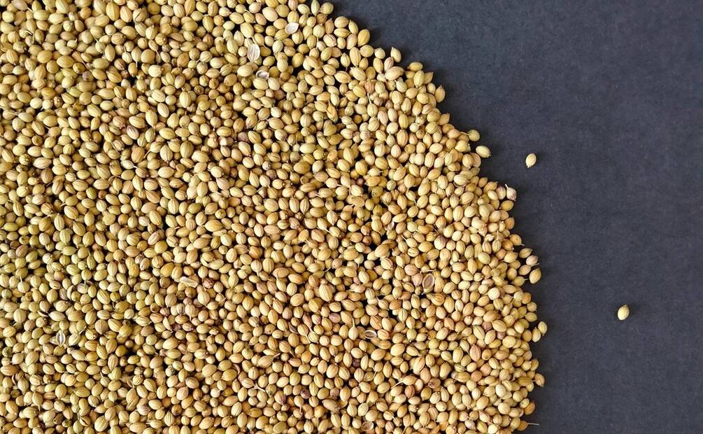 Propiedades de la semilla de cilantro. Foto: Pexels