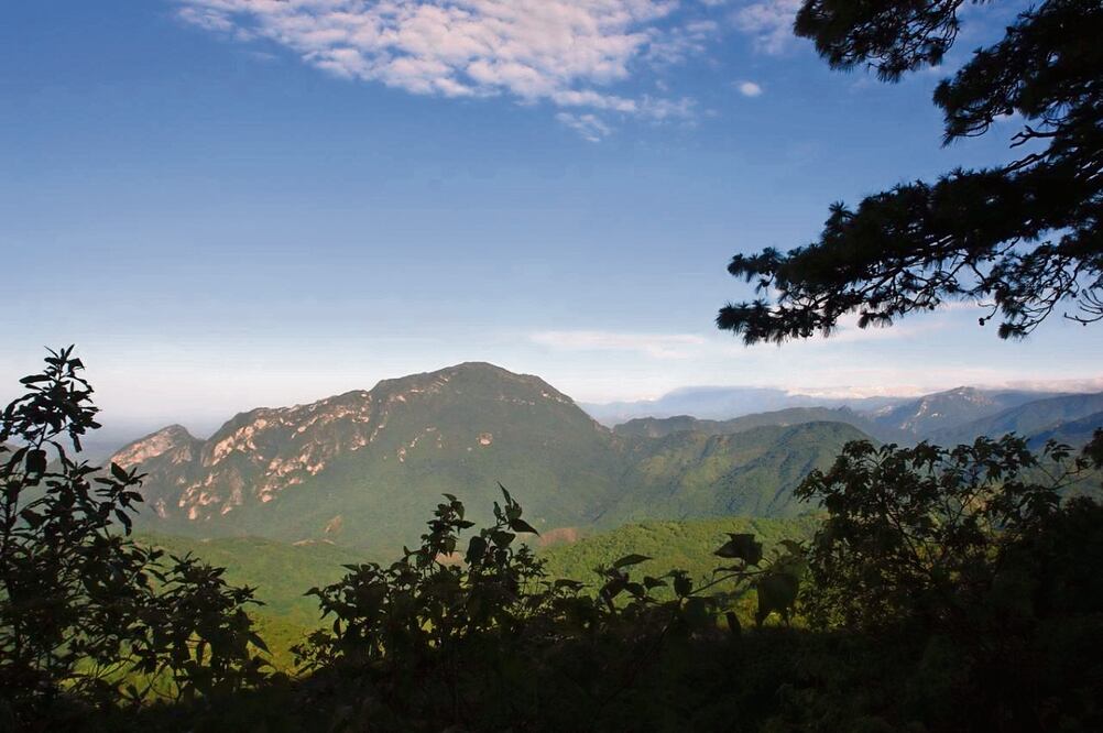 Hace casi 56 años, comunidades chiapanecas invadieron 160 mil hectáreas de la selva oaxaqueña de los Chimalapas.
