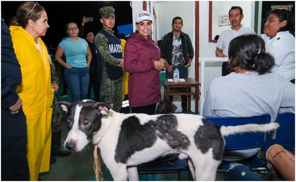 Las familias que más lo necesitan, incluyendo sus mascotas pueden acudir a los refugios. Foto: Tomada de X (@MaraLezama)
