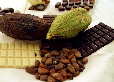 Health benefits of cacao and chocolate