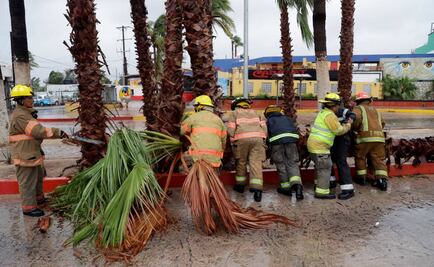 “Newton” deja lluvias, vientos y cortes viales en BCS