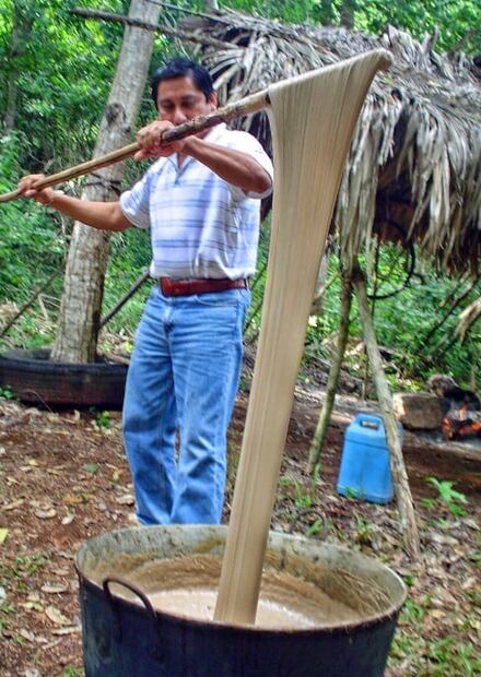 Chicle, the ancient origins of Mexican chewing gum