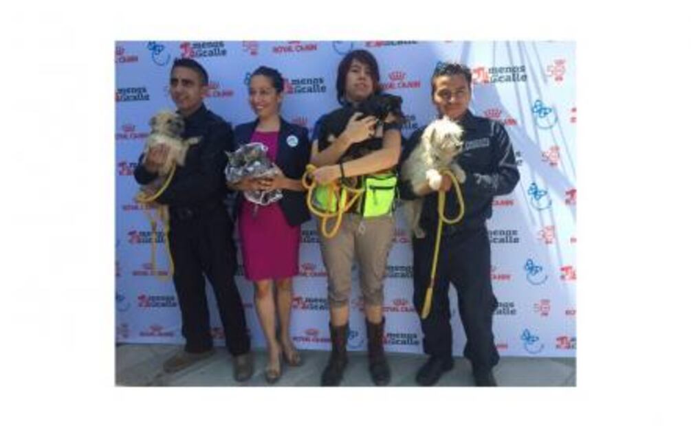 "Uno menos en la calle" busca concientizar sobre adopción de perros y gatos