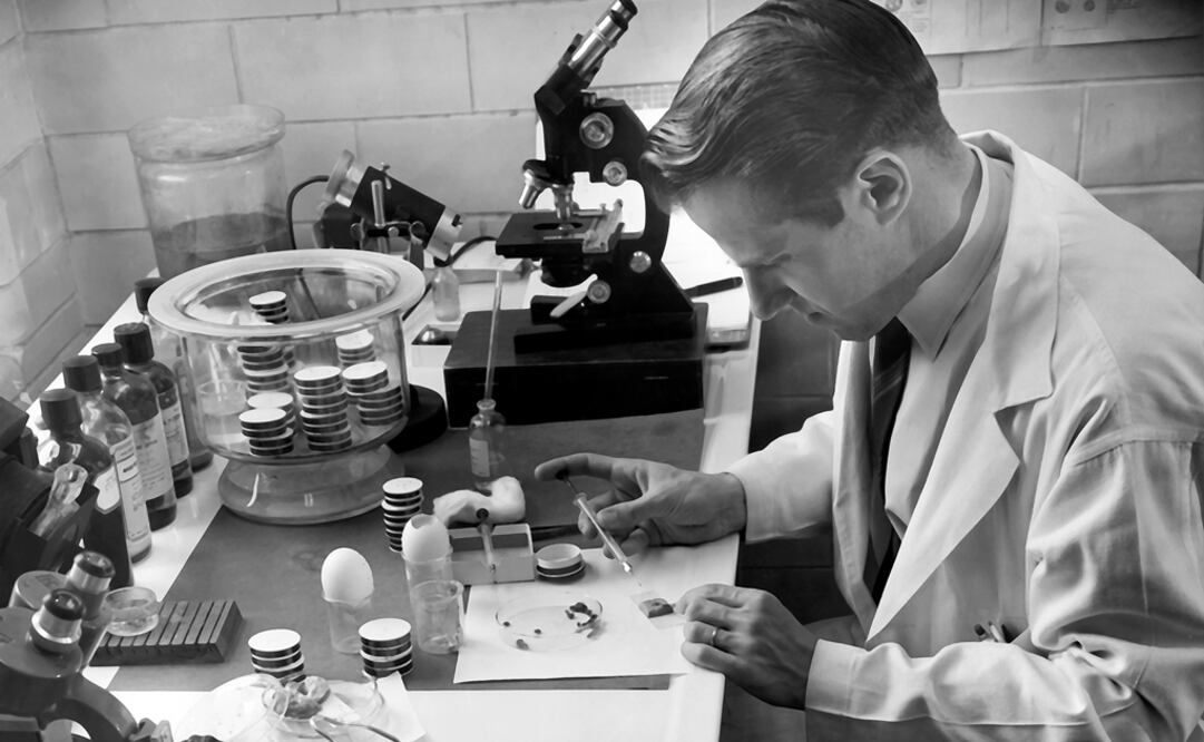 La investigación estuvo a cargo de científicos de la Universidad de Tel Aviv, en Israel. (FOTO: Archivo/EL UNIVERSAL)