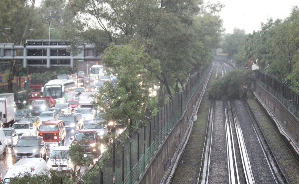 Las fuertes lluvias en la Ciudad de México han ocasionado inundaciones, caídas de árboles y caos vial. Fotos:Francisco Rodríguez. EL UNIVERSAL