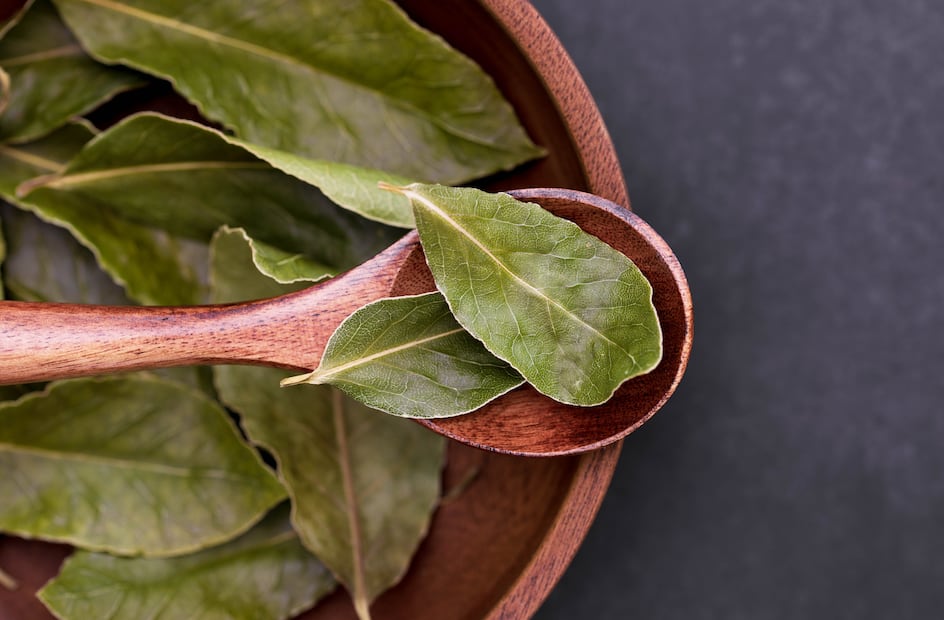 Hojas de laurel