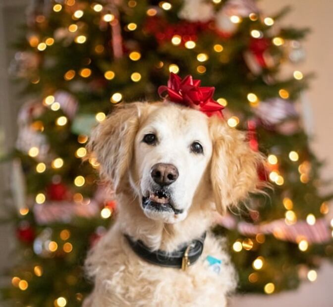 6 tips para tomarte las mejores fotos de fin de año