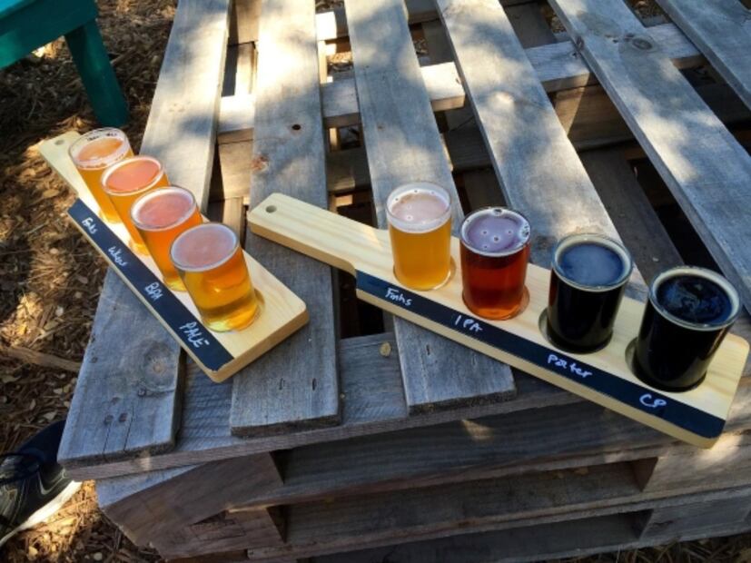 Conviértete en un profesional de la cerveza