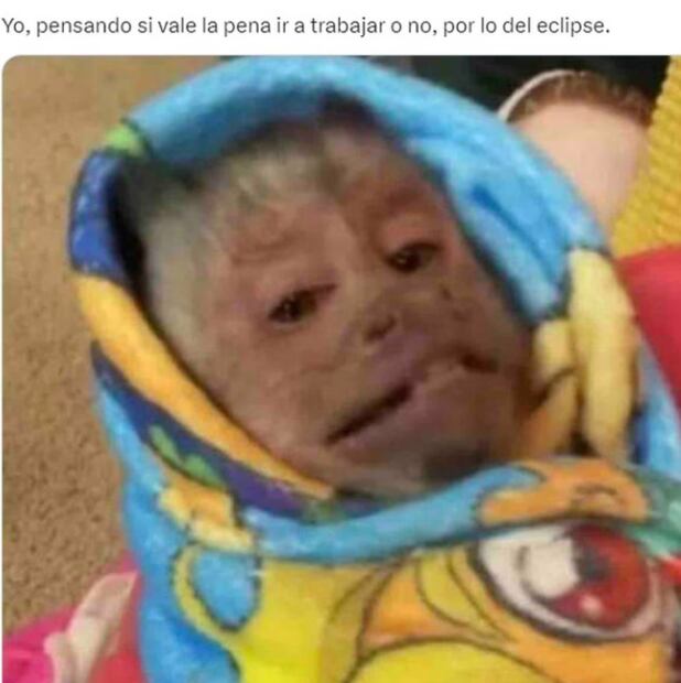 Foto: Vía X