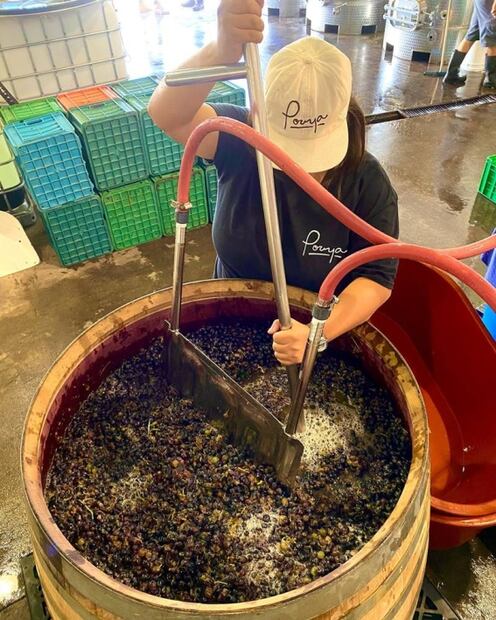 Pouya Wines, un proyecto enológico hecho por mujeres mexicanas