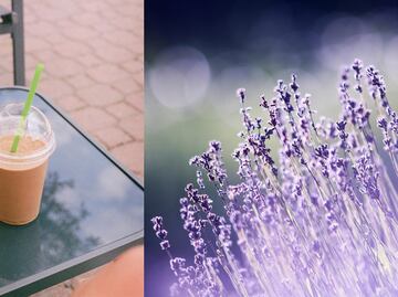 Te contamos cómo pedir el nuevo café con lavanda de esta conocida cafetería