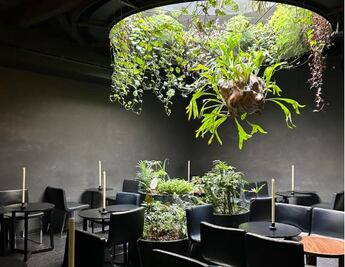 Ticuchi, un bar de destilados de agave con aires de cueva