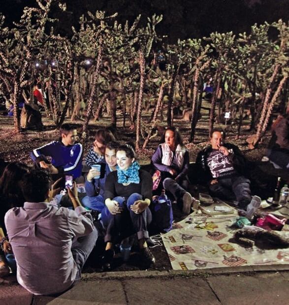 No te pierdas el próximo picnic nocturno del Bosque de Chapultepec