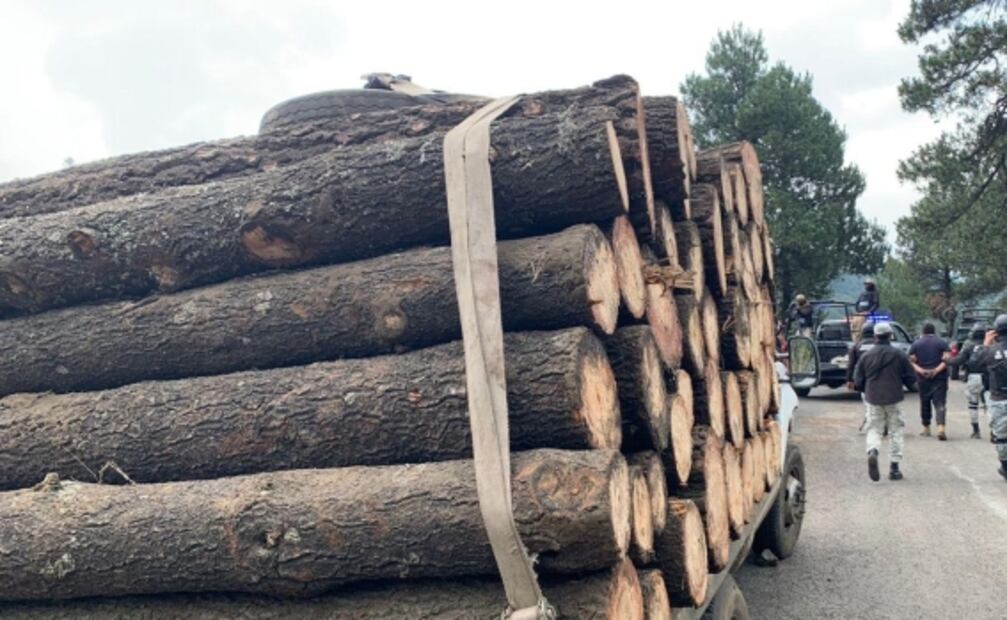 Caen seis presuntos talamontes en distintas acciones en zona del Ajusco 