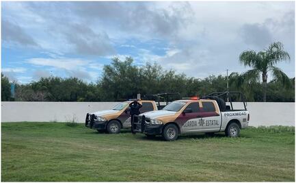 Tamaulipas alerta a EU por tigre siberiano que escapó de zoológico en Reynosa