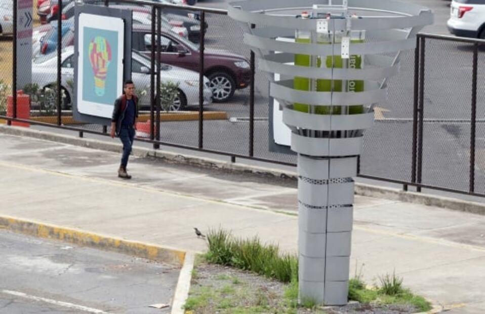 Mexicanos purifican el aire con algas