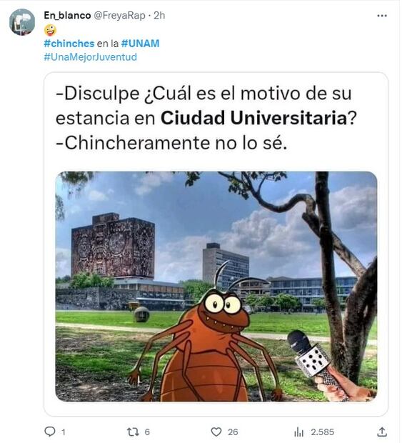 Meme sobre chinches. Foto: Twitter