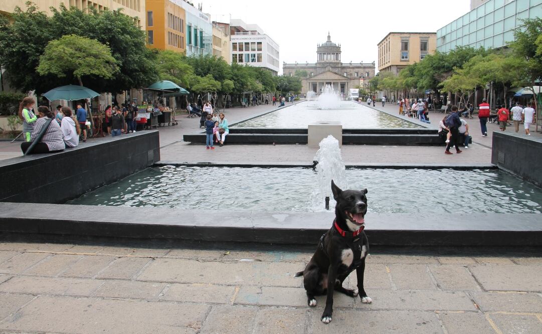 Foto: Karla Pineda Román