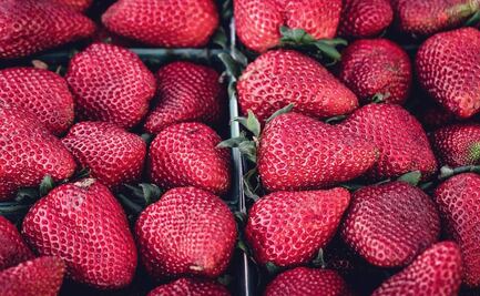 Fresas, frambuesas y arándanos superan exportaciones de cerveza y tequila