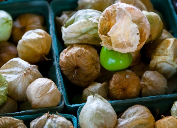 Seis variedades de tomates que alguna vez has comido y no lo sabías  