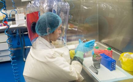 China diseñó el Covid-19 como “arma biológica”, asegura investigador de Wuhan