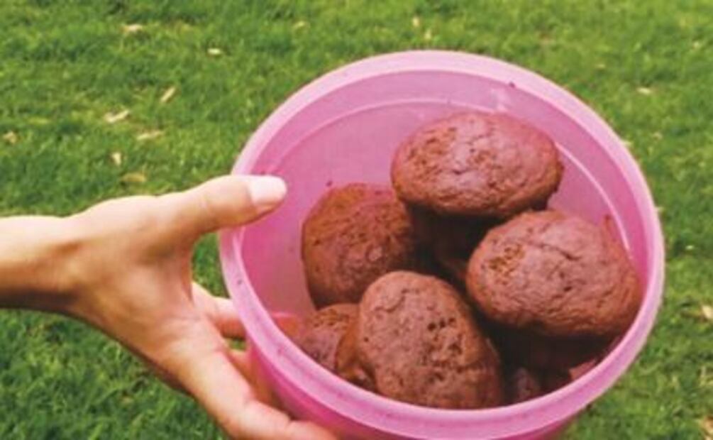 Van contra inseguridad en la UNAM