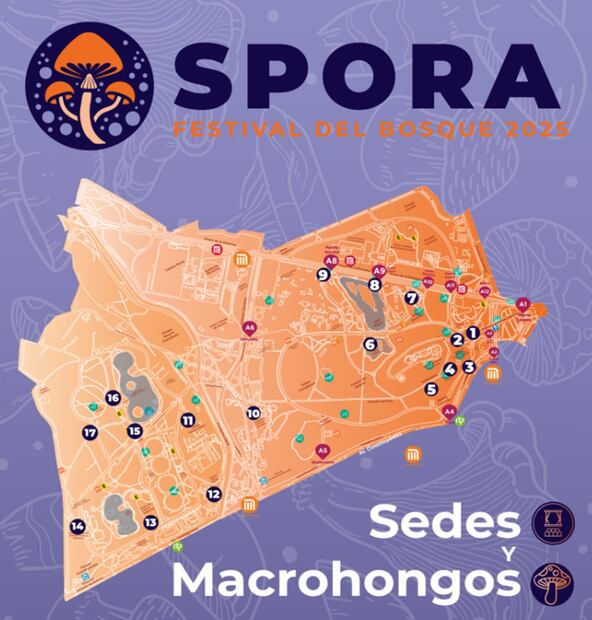 Foto: Cartelera Spora Festival del Bosque.