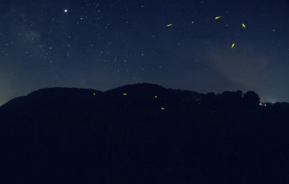 Vamos a Amecameca al Festival de las Luciérnagas 2022
