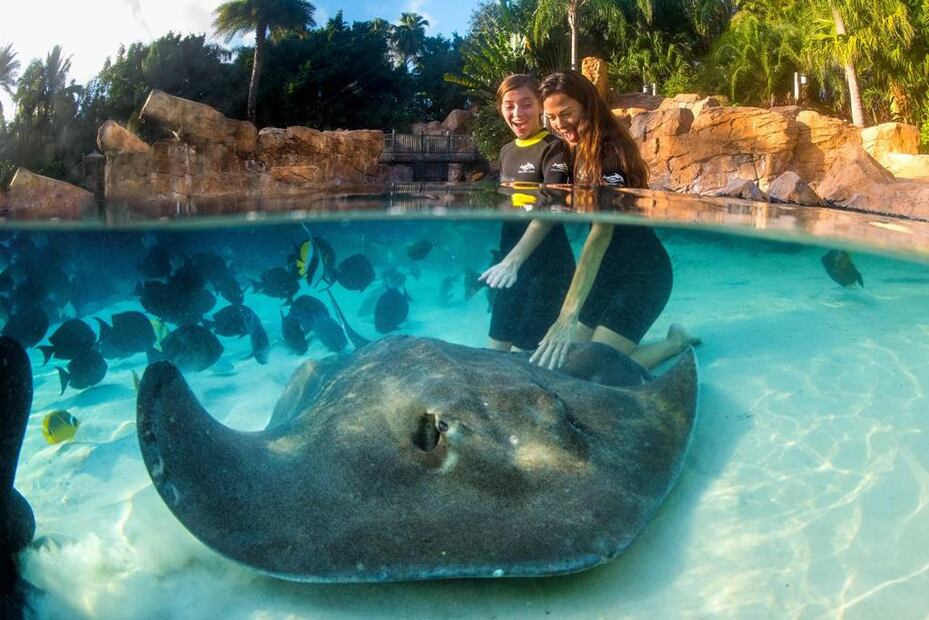 Foto: Discovery Cove