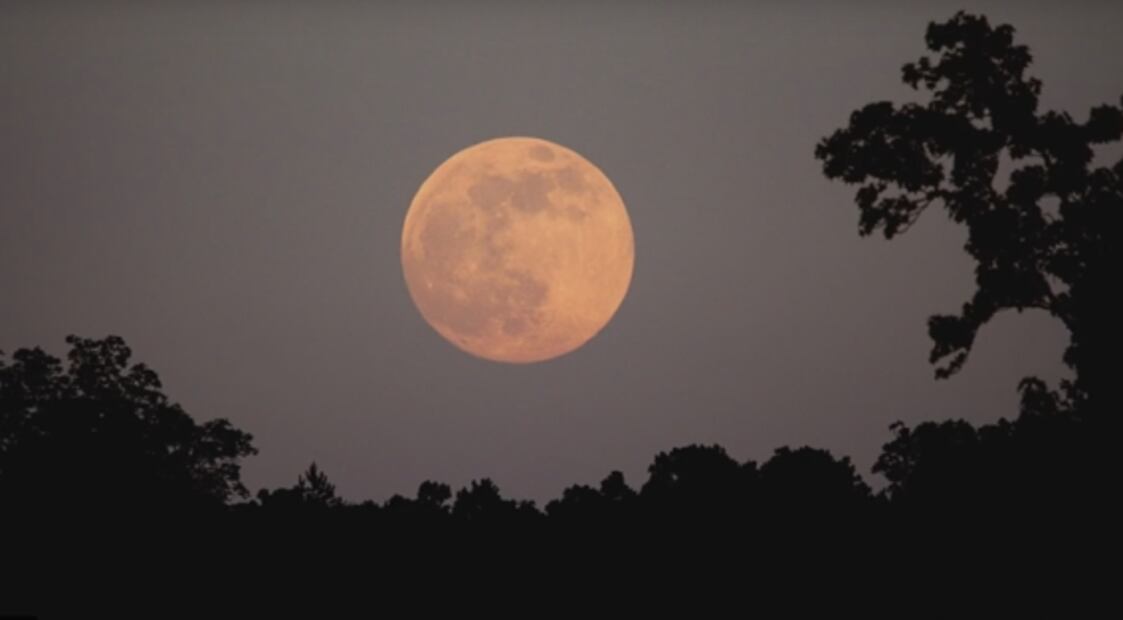 ¡Belleza gigante en el cielo! Cómo ver la última superluna del año