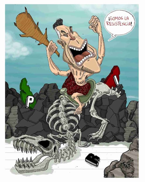 Cartón de FER